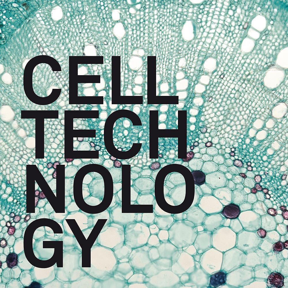 Zabiegi na twarz Wrocław | DEVORA