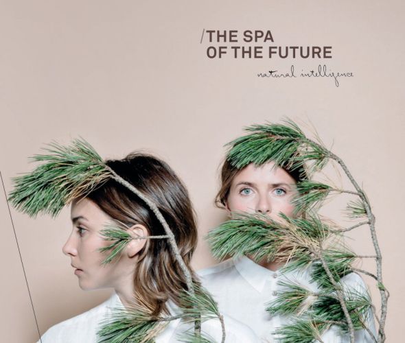 Masaże i zabiegi SPA Wrocław | DEVORA